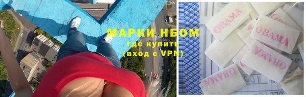 гидра Покров
