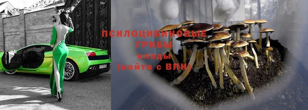 гидра Покров