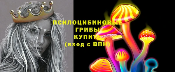 бошки Покачи