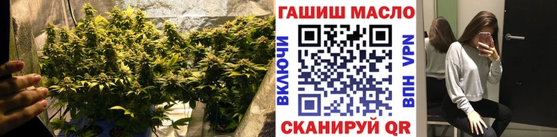 ТГК Wax  Козловка 